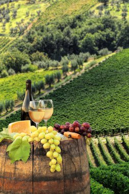 beyaz şarap varil üzerinde in chianti, Toskana, İtalya ünlü üzüm bağı ile