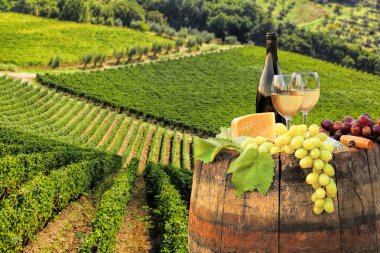 beyaz şarap varil üzerinde in chianti, Toskana, İtalya ünlü üzüm bağı ile
