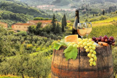 beyaz şarap varil üzerinde in chianti, Toskana, İtalya ünlü üzüm bağı ile