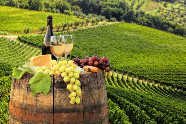 White wine with barrel on famous vineyard in Chianti, Tuscany, Italy — Stock Photo, Image