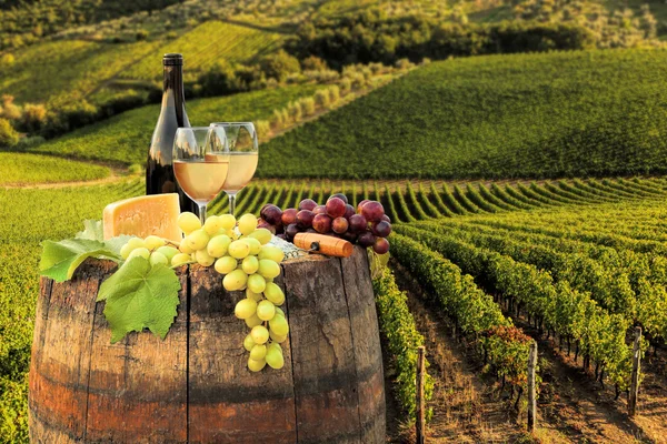 Vino blanco con barril en el famoso viñedo en Chianti, Toscana, Italia — Foto de Stock