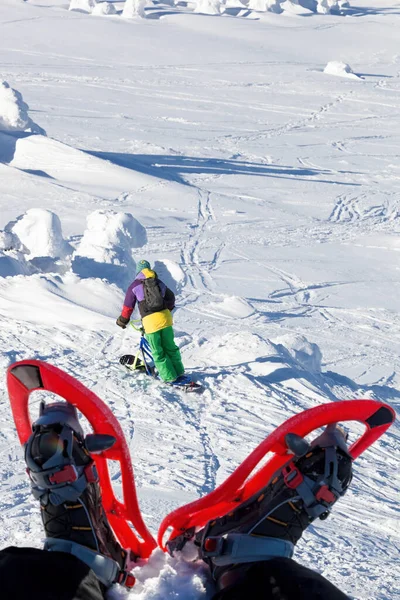 Skiër Monoski Hoge Bergen Tegen Sneeuwschoenen — Stockfoto