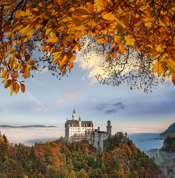 Célèbre Château Neuschwanstein Bavière Avec Feuilles Automne Allemagne — Photo