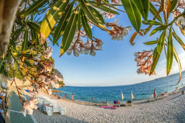 Amazing Croatian Clean Beaches Blue Sky Brela Dalmatia Croatia — Stock Photo, Image