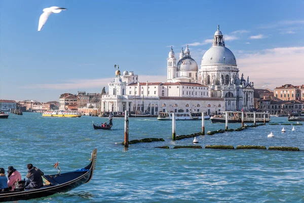 Talya Venedik Santa Maria Della Salute Karşı Gondollu Grand Canal — Stok fotoğraf