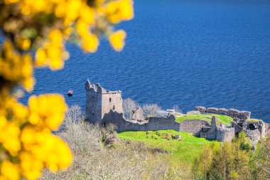 Ruins of Urquhart Castle with famous lake Loch Ness in Scotland clipart