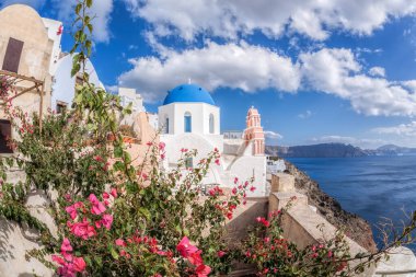 Yunanistan 'ın Santorini adasında kırmızı çiçeklere karşı kiliseleri olan Oia köyü