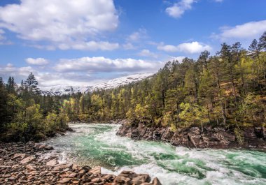 Baharda Norveç ve Wild River. Norveç 'te Flam' den Myrdal 'a demiryolu