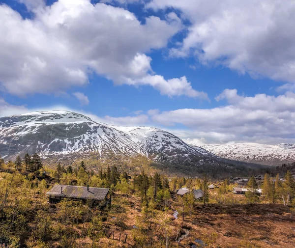 Norwegia Krajobrazem Wiosnę Kolej Flam Myrdal Norwegii — Zdjęcie stockowe