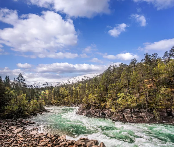 Noruega Con Río Salvaje Durante Primavera Ferrocarril Flam Myrdal Noruega — Foto de Stock