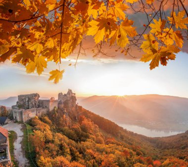 Avusturya, Wachau 'da sonbahar ormanı olan Aggstein şatosu renkli bir günbatımı sırasında