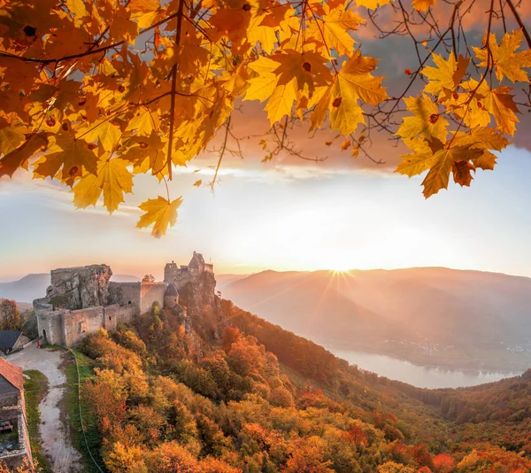 Castelo Aggstein Com Floresta Outono Durante Pôr Sol Colorido Wachau — Fotografia de Stock