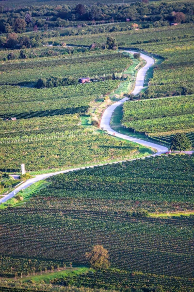 Valle Wachau Con Carretera Entre Viñedos Baja Austria Austria — Foto de Stock