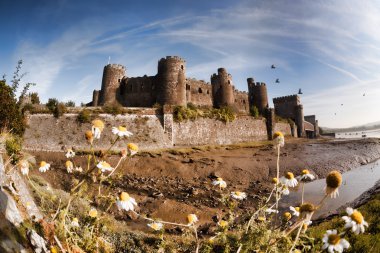 Ünlü Conwy Castle Walesh kaleler Galler, Birleşik Krallık, dizi