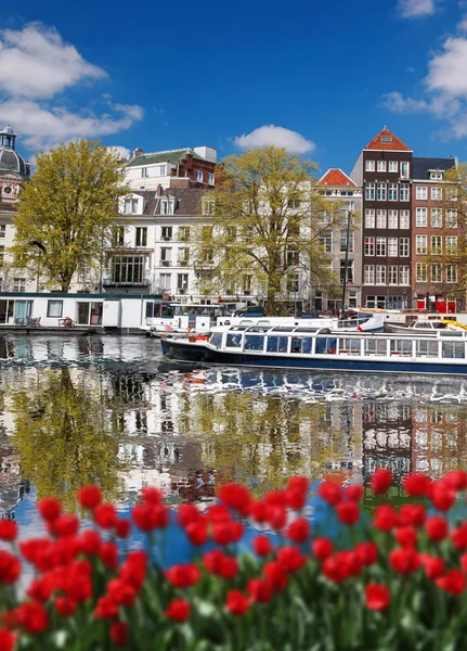 Amsterdam by med røde tulipaner mot kanal i Holland – stockfoto