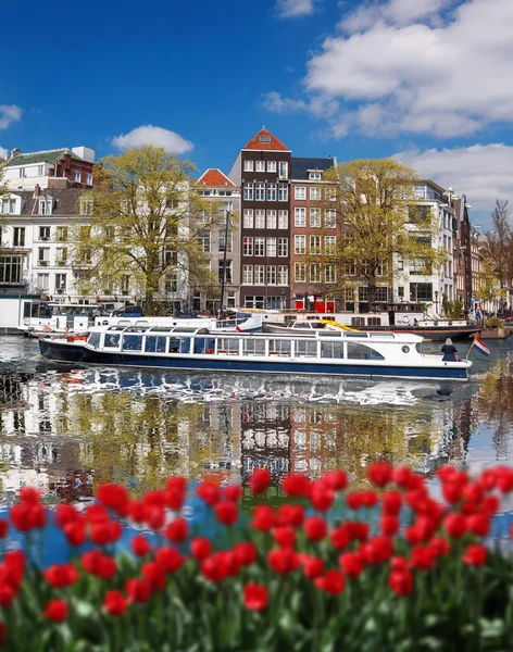 Amsterdam stad met rode tulpen tegen kanaal in Holland — Stockfoto