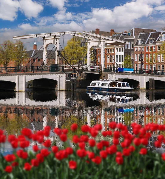 Amszterdam város, vörös Tulipánokkal ellen a Holland csatorna — Stock Fotó