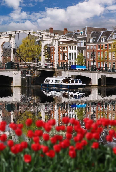 Amsterdam city with red tulips against canal in Holland — Stock Photo, Image