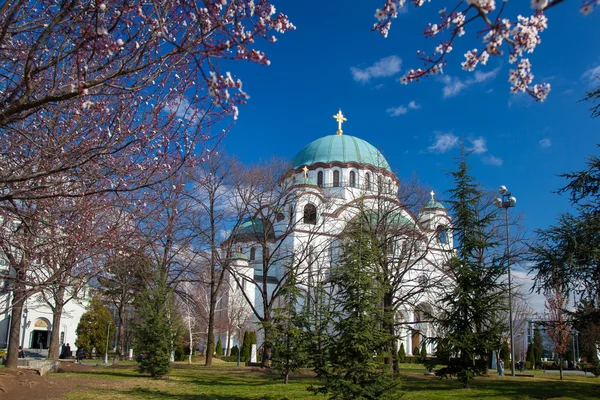 Belgrad, Sırbistan başkenti şehir St. Sava Katedrali — Stok fotoğraf