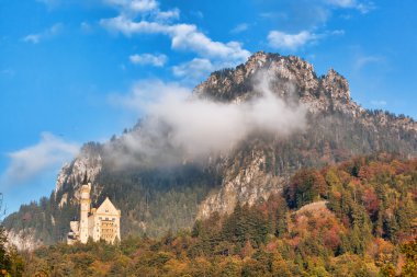 Bavaria, Almanya için sonbahar orman ile ünlü Neuschwanstein Şatosu
