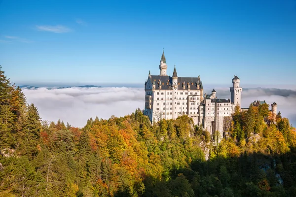 Famoso castello di Neuschwanstein con foresta autunnale in Baviera, Germania — Foto Stock