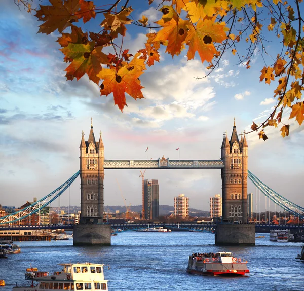 Tower Bridge con foglie autunnali a Londra, Inghilterra — Foto Stock