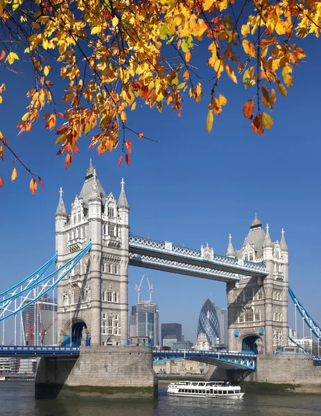 Tower Bridge with autumn leaves in  London, England