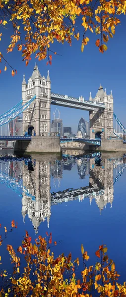 Tower Bridge med höstlöv i London, England — Stockfoto