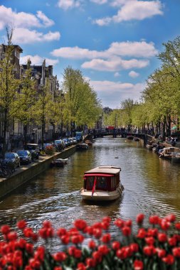 Kanal Hollanda'da kırmızı lale karşı teknelerle Amsterdam şehir