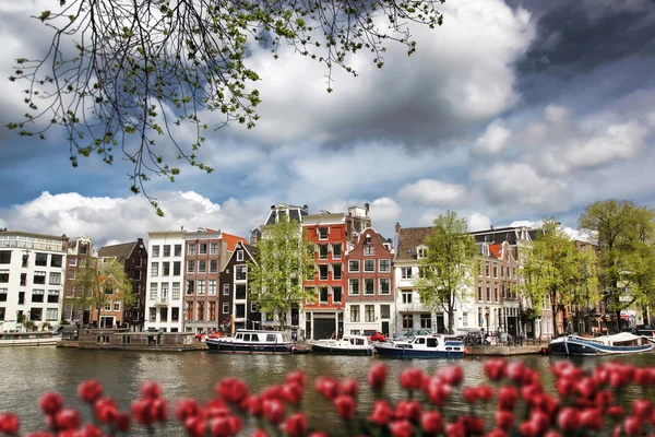 Amsterdam stad met boten op kanaal tegen rode tulpen in Holland — Stockfoto