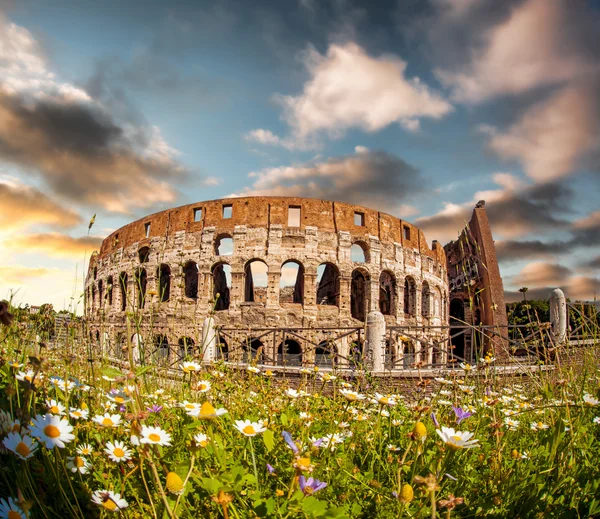 Coliseo con flores de primavera en Roma, Italia — Foto de Stock