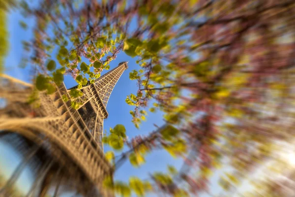 Torre Eiffel con árbol de primavera en París, Francia — Foto de Stock