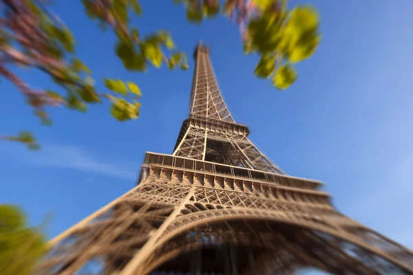 Eiffel Tower with spring tree in Paris, France — Stock Photo, Image