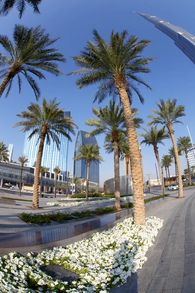 Calle Dubai con palmeras en los Emiratos Árabes Unidos —  Fotos de Stock