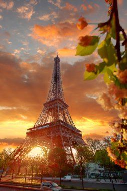 Eyfel Kulesi sırasında güzel bahar sabahı Paris, Fransa