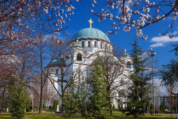 Belgrad, Sırbistan başkenti şehir St. Sava Katedrali — Stok fotoğraf