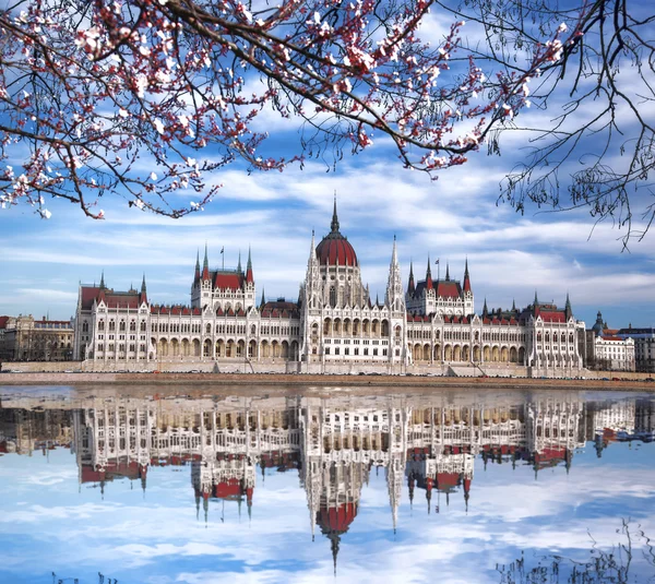 Parlament v jarním období v Budapešti, Maďarsko — Stock fotografie