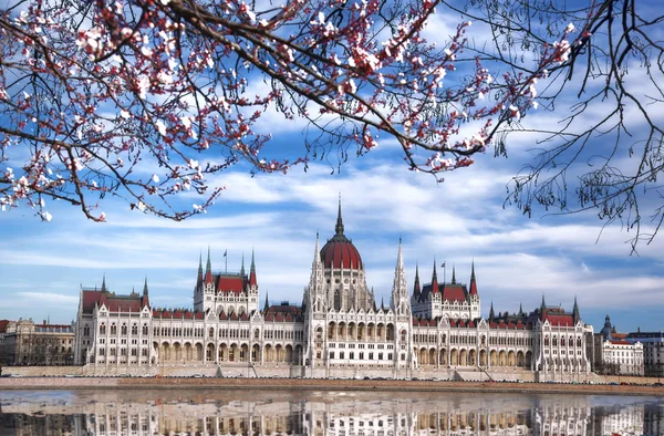 Parlement tijdens de lentetijd in Boedapest, Hongarije — Stockfoto