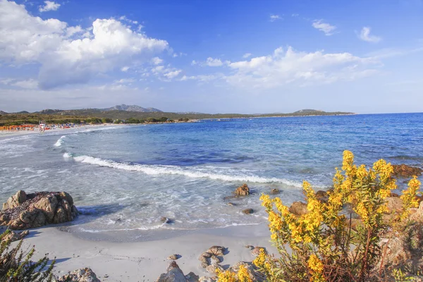 Σαρδηνία Ακτή Καταπληκτικές Παραλίες Στην Ιταλία — Φωτογραφία Αρχείου