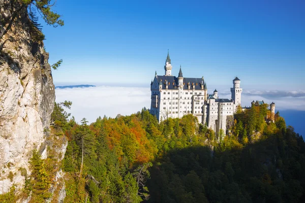 Neuschwanstein castle in Bavaria, Germany — Stock Photo, Image