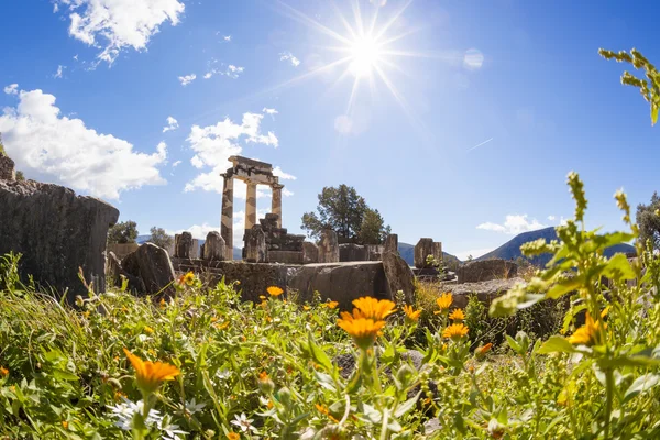 Delphi cu ruinele Templului din Grecia — Fotografie, imagine de stoc