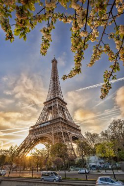 Eyfel Kulesi Tour Eiffel, paris, Fransa, ağaç bahar ile