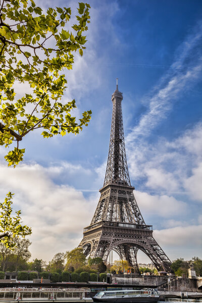 Eiffel Tower with spring tree in Paris, France