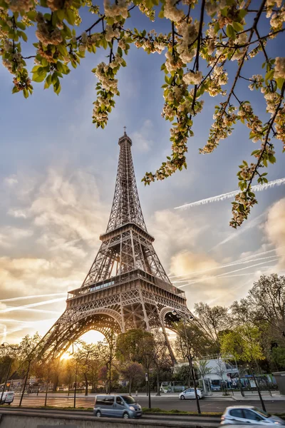 Menara Eiffel dengan pohon musim semi di Paris, Perancis — Stok Foto