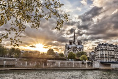 Notre Dame Katedrali bahar zaman, Paris, Fransa