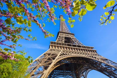 Eyfel Kulesi Tour Eiffel, paris, Fransa, ağaç bahar ile