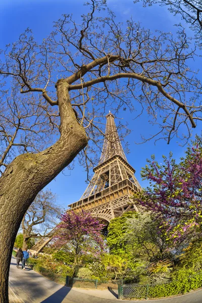 Eiffel-torony, a tavaszi fa, Párizs, Franciaország — Stock Fotó