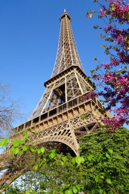 Eyfel Kulesi Tour Eiffel, paris, Fransa, ağaç bahar ile