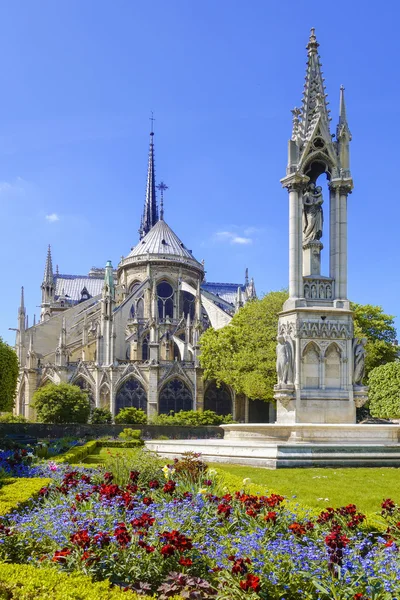 開花ツリーとノートルダム大聖堂パリ — ストック写真