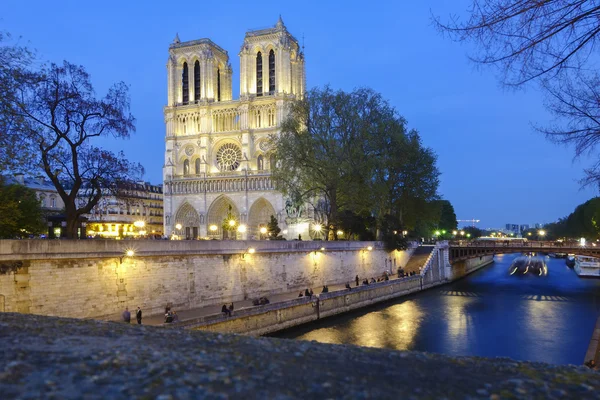 在晚上，巴黎，法国巴黎圣母院 — 图库照片